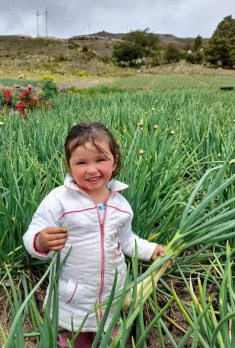 foto 1 bloque 1 proyectos