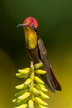 foto 2 bloque 1 proyectos