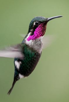 foto 1 bloque 1 proyectos