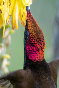 foto 1 bloque 1 proyectos